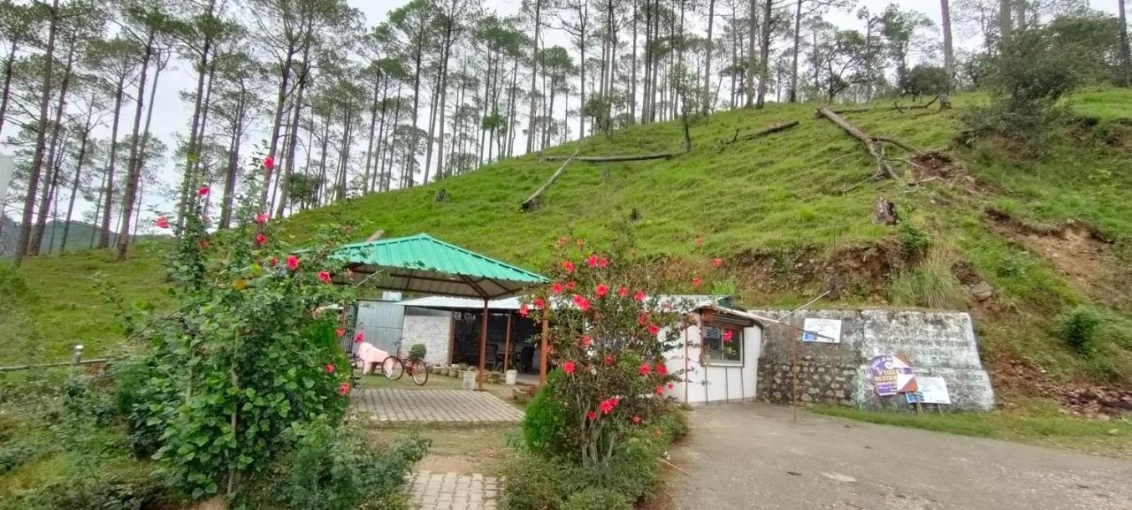 The Green Pine Cottage Lansdowne Εξωτερικό φωτογραφία